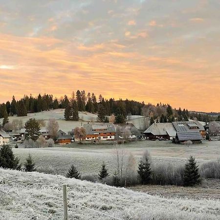 Helle Gemuetliche Ferienwohnung In Schwarzwaldhof Ibach 外观 照片