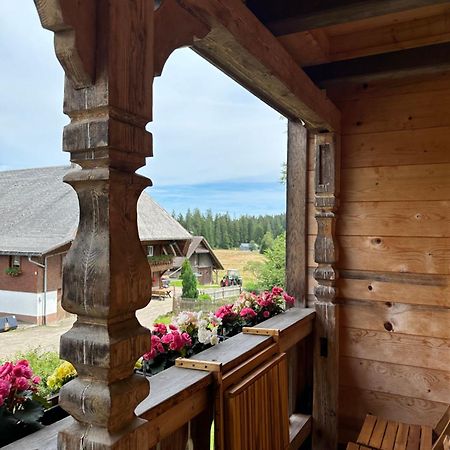 Helle Gemuetliche Ferienwohnung In Schwarzwaldhof Ibach 外观 照片