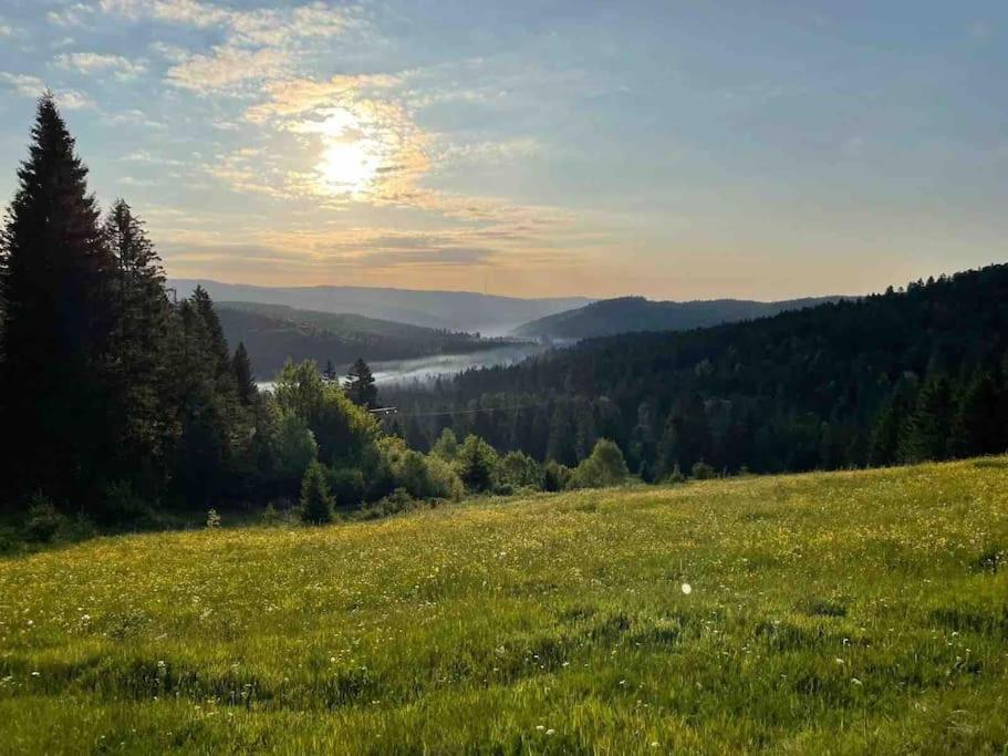 Helle Gemuetliche Ferienwohnung In Schwarzwaldhof Ibach 外观 照片