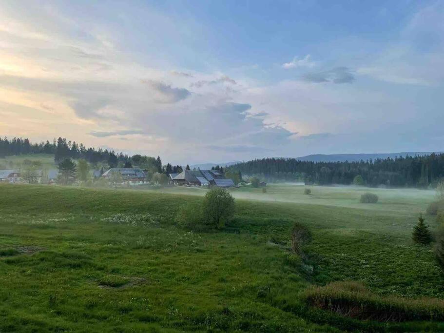 Helle Gemuetliche Ferienwohnung In Schwarzwaldhof Ibach 外观 照片