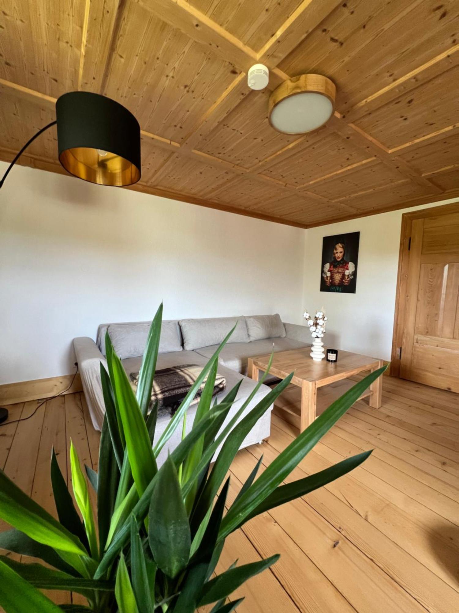 Helle Gemuetliche Ferienwohnung In Schwarzwaldhof Ibach 外观 照片
