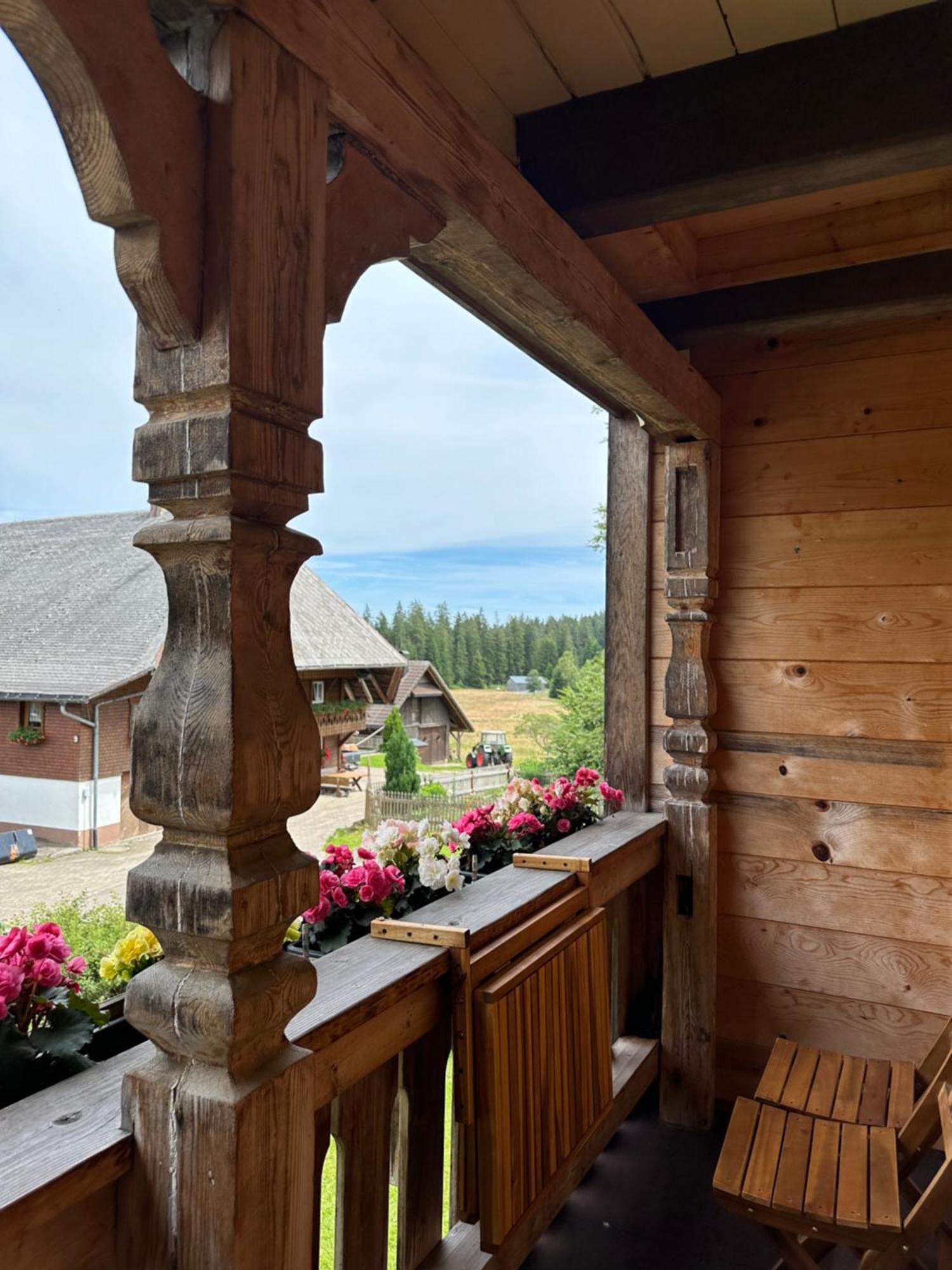 Helle Gemuetliche Ferienwohnung In Schwarzwaldhof Ibach 外观 照片