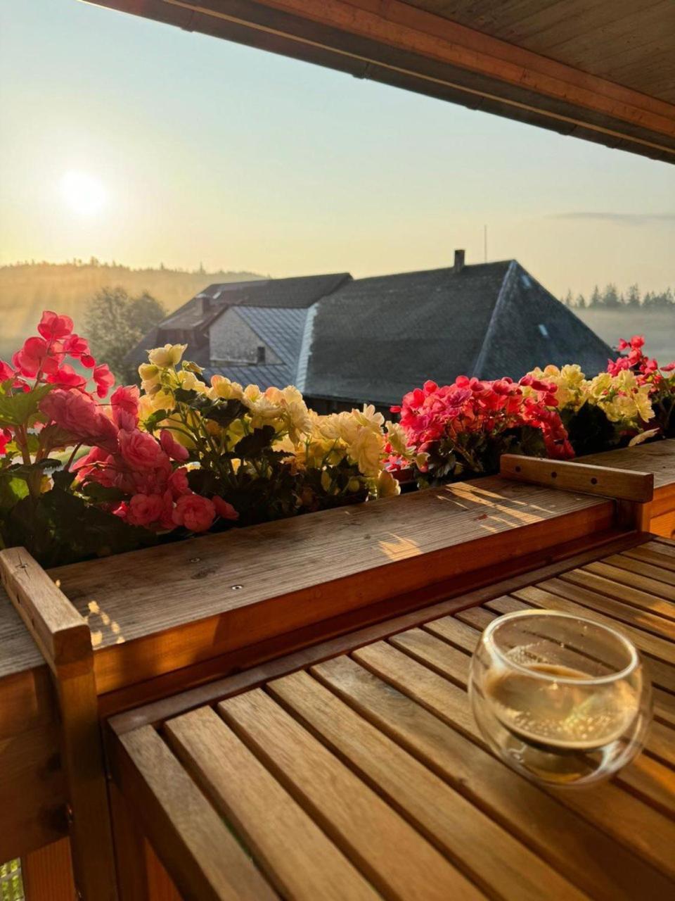 Helle Gemuetliche Ferienwohnung In Schwarzwaldhof Ibach 外观 照片