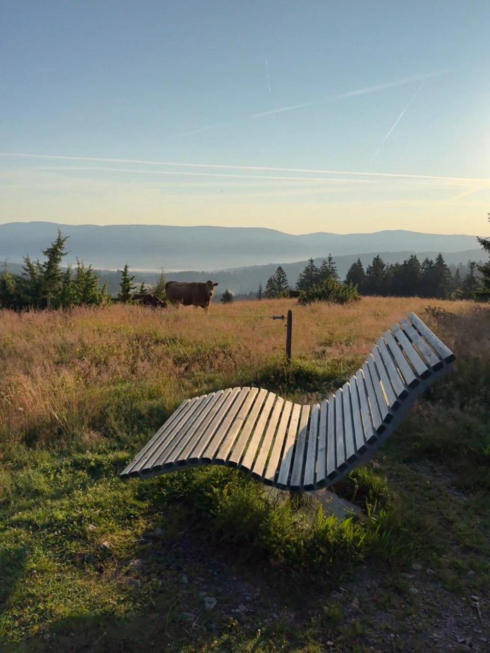 Helle Gemuetliche Ferienwohnung In Schwarzwaldhof Ibach 外观 照片